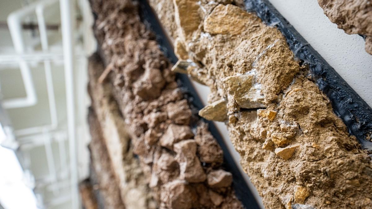 Columns of soils hang on a wall.